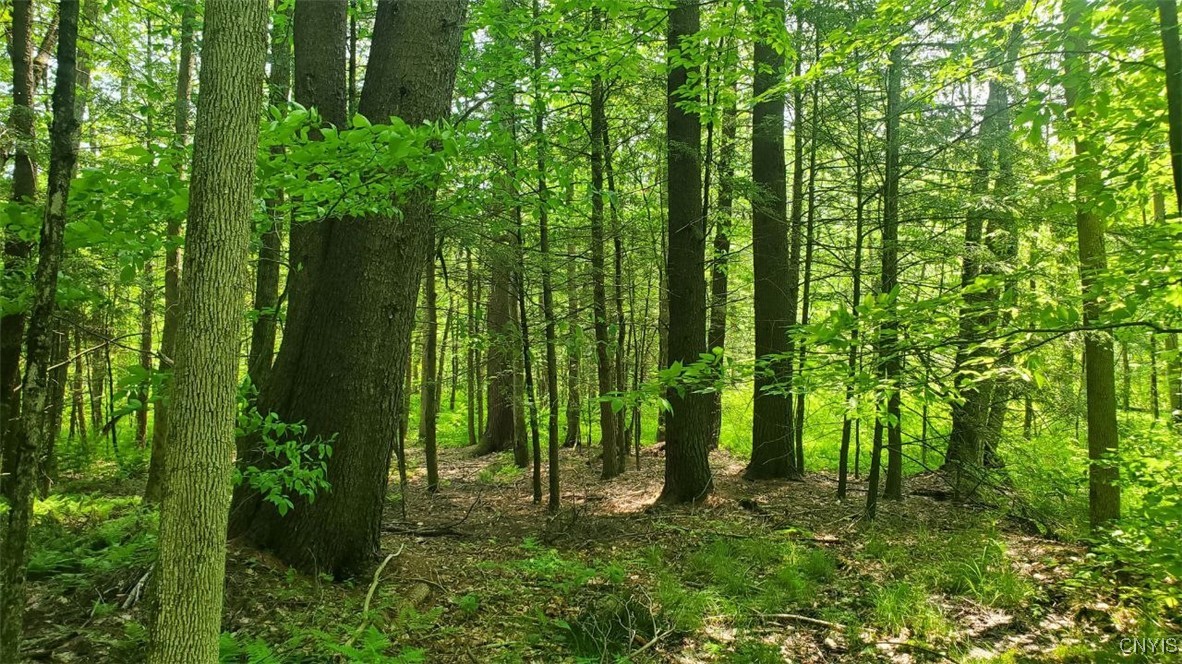 0 Kiwanis Road Taberg, NY 13471 - Photo 6 of 12
