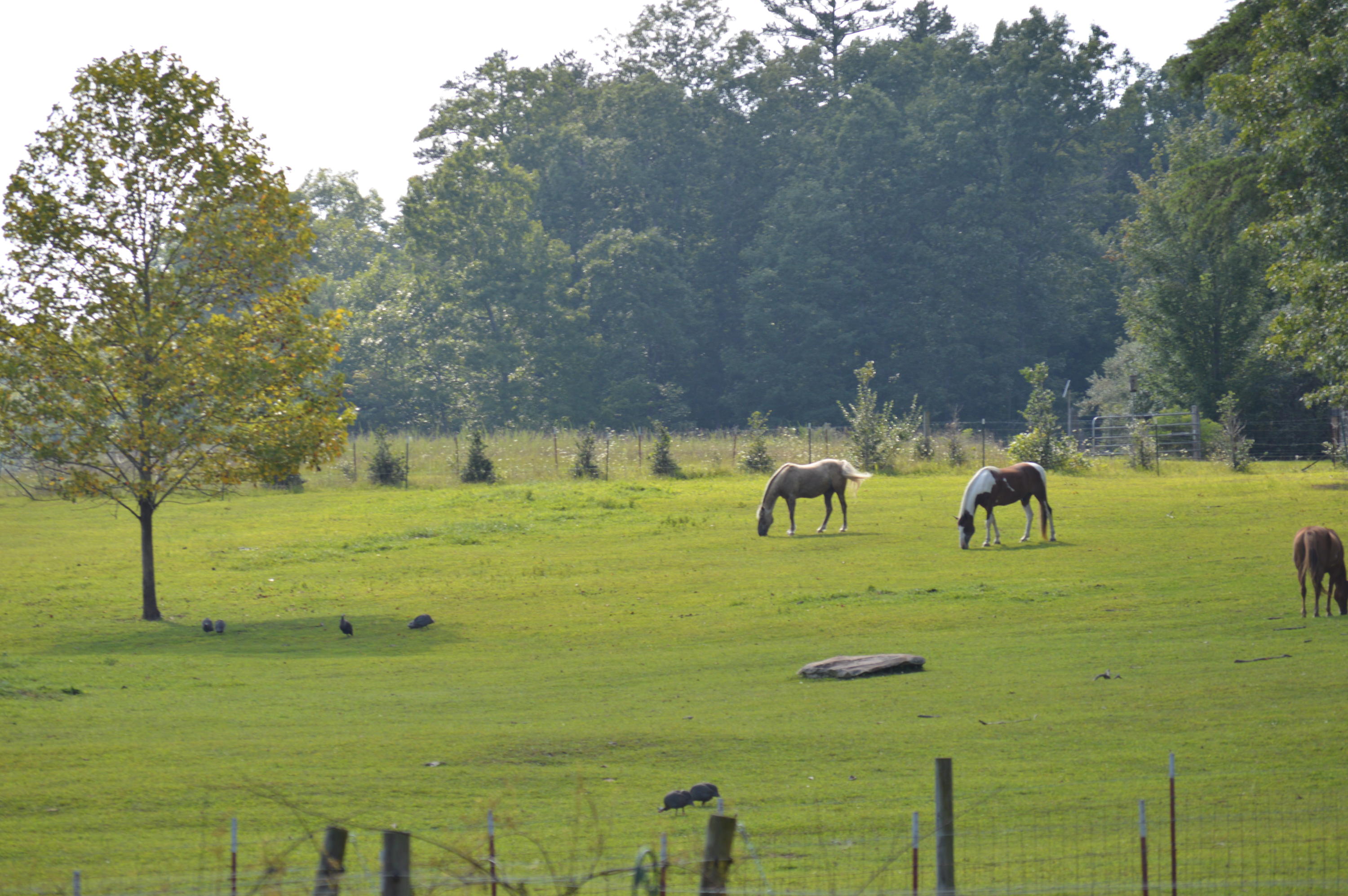 2710 Barker Camp Road Dunlap, TN 37327 - Photo 4 of 18 003