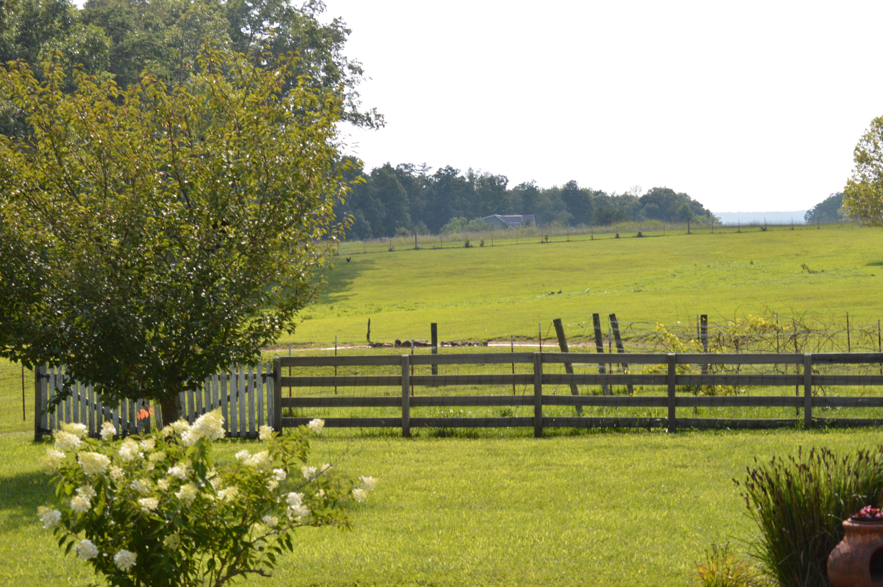2710 Barker Camp Road Dunlap, TN 37327 - Photo 5 of 18 002
