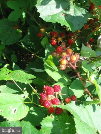 $392,000 | 33 East Circle Road, Stanardsville, VA 22973