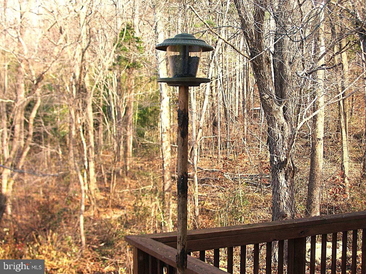 33 East Circle Road Stanardsville, VA 22973 - Photo 16 of 24