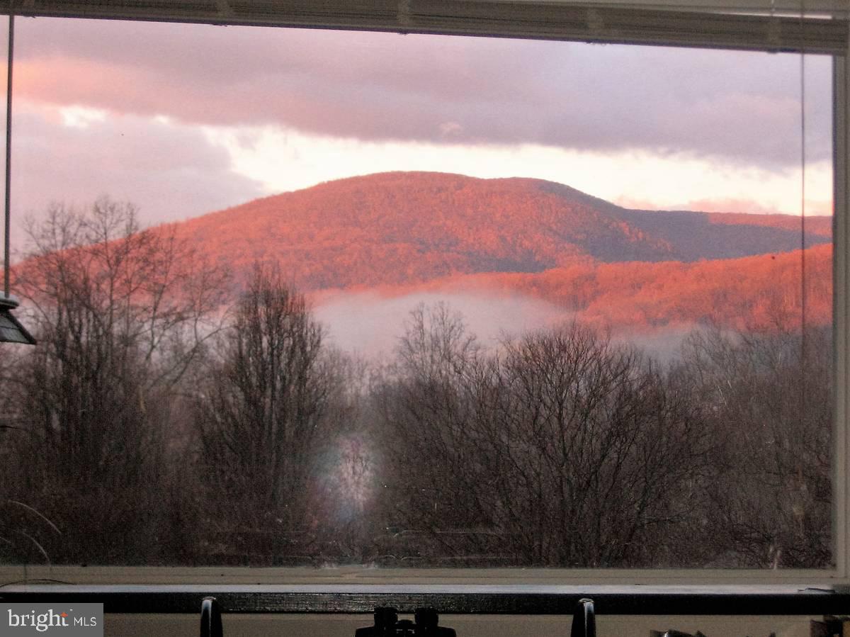 33 East Circle Road Stanardsville, VA 22973 - Photo 19 of 24