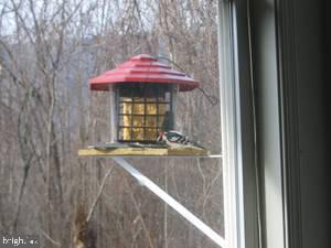 33 East Circle Road Stanardsville, VA 22973 - Photo 9 of 24