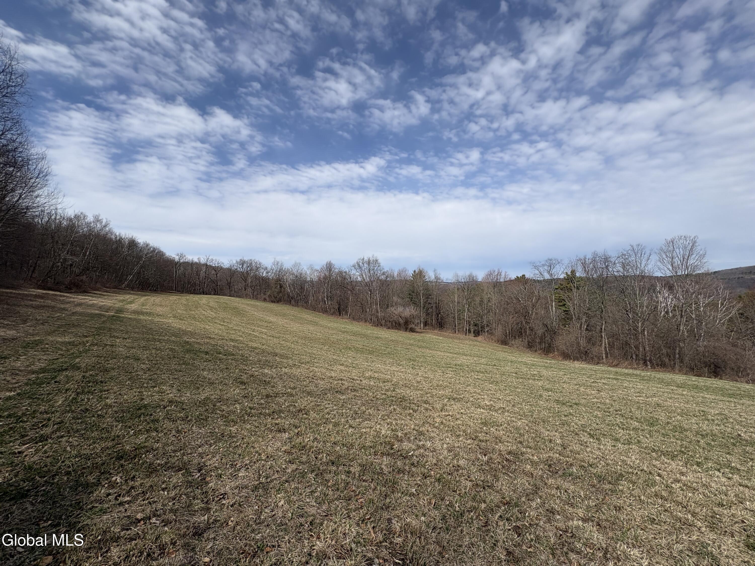 605 Breese Hollow Road Hoosick Falls, NY 12090 - Photo 12 of 27 IMG_3886