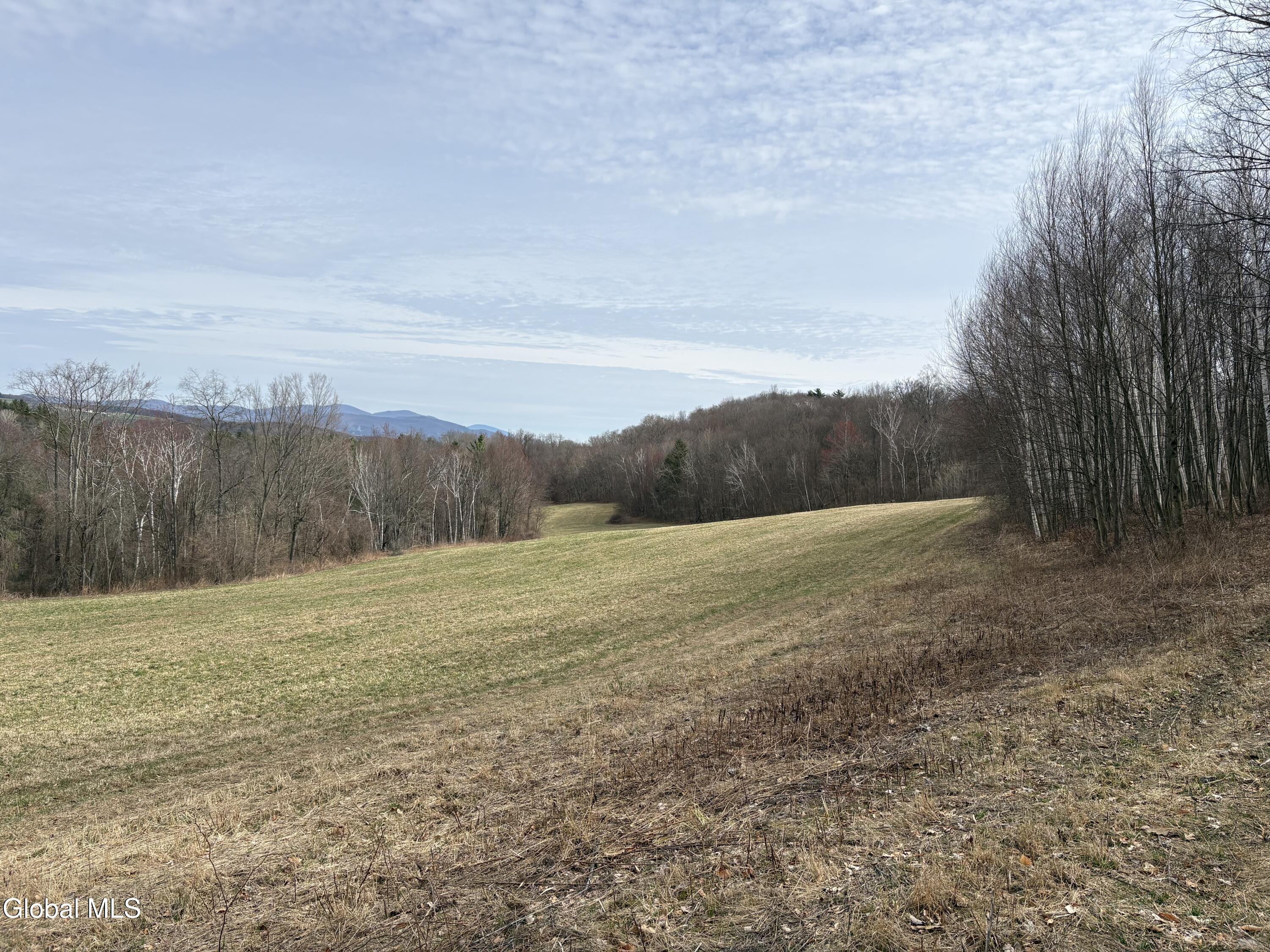 605 Breese Hollow Road Hoosick Falls, NY 12090 - Photo 23 of 27 IMG_3855