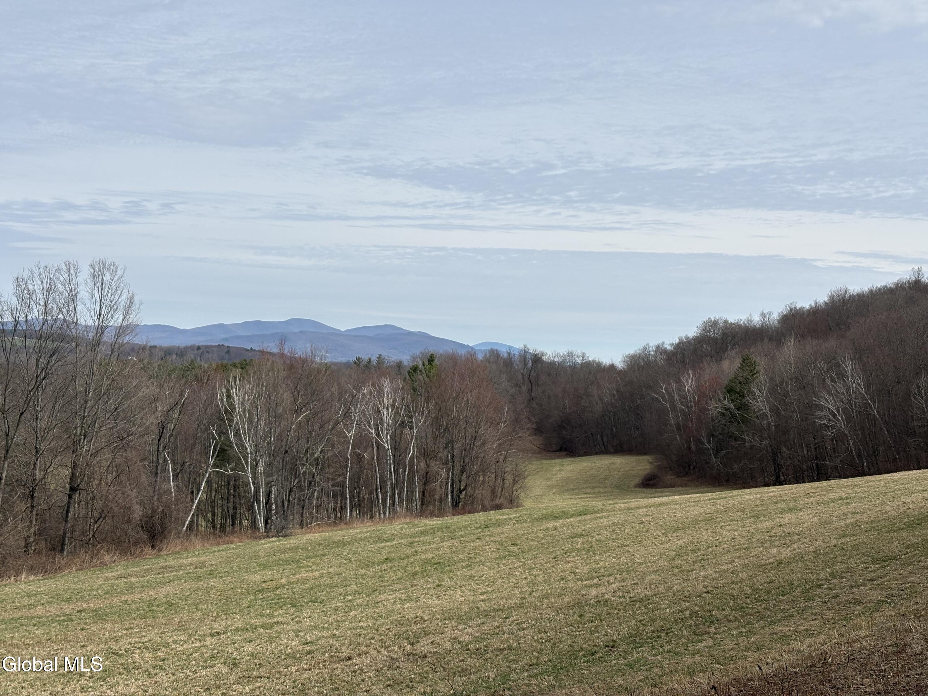 605 Breese Hollow Road Hoosick Falls, NY 12090 - Photo 24 of 27 IMG_3856