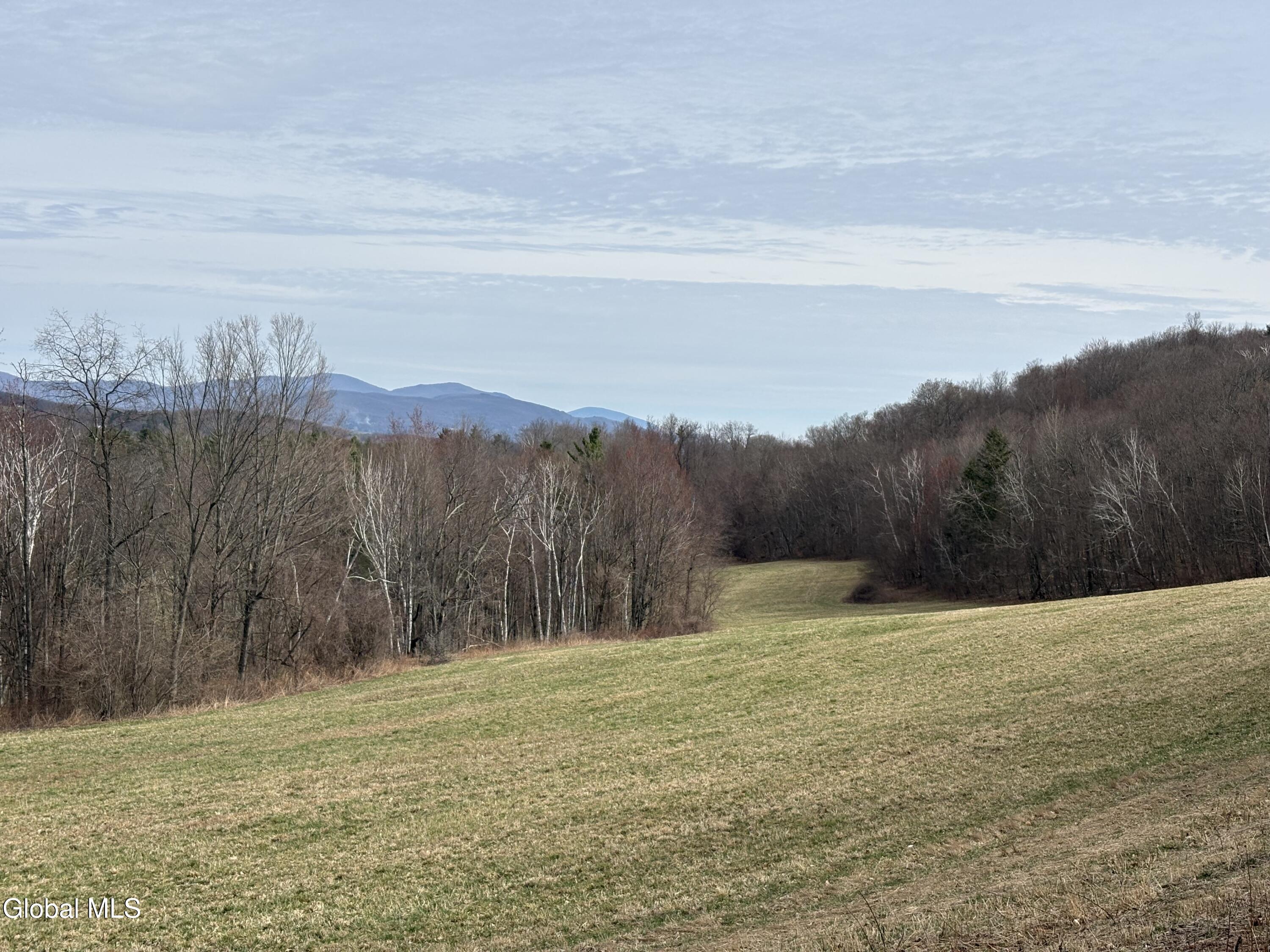 605 Breese Hollow Road Hoosick Falls, NY 12090 - Photo 5 of 27 IMG_3853