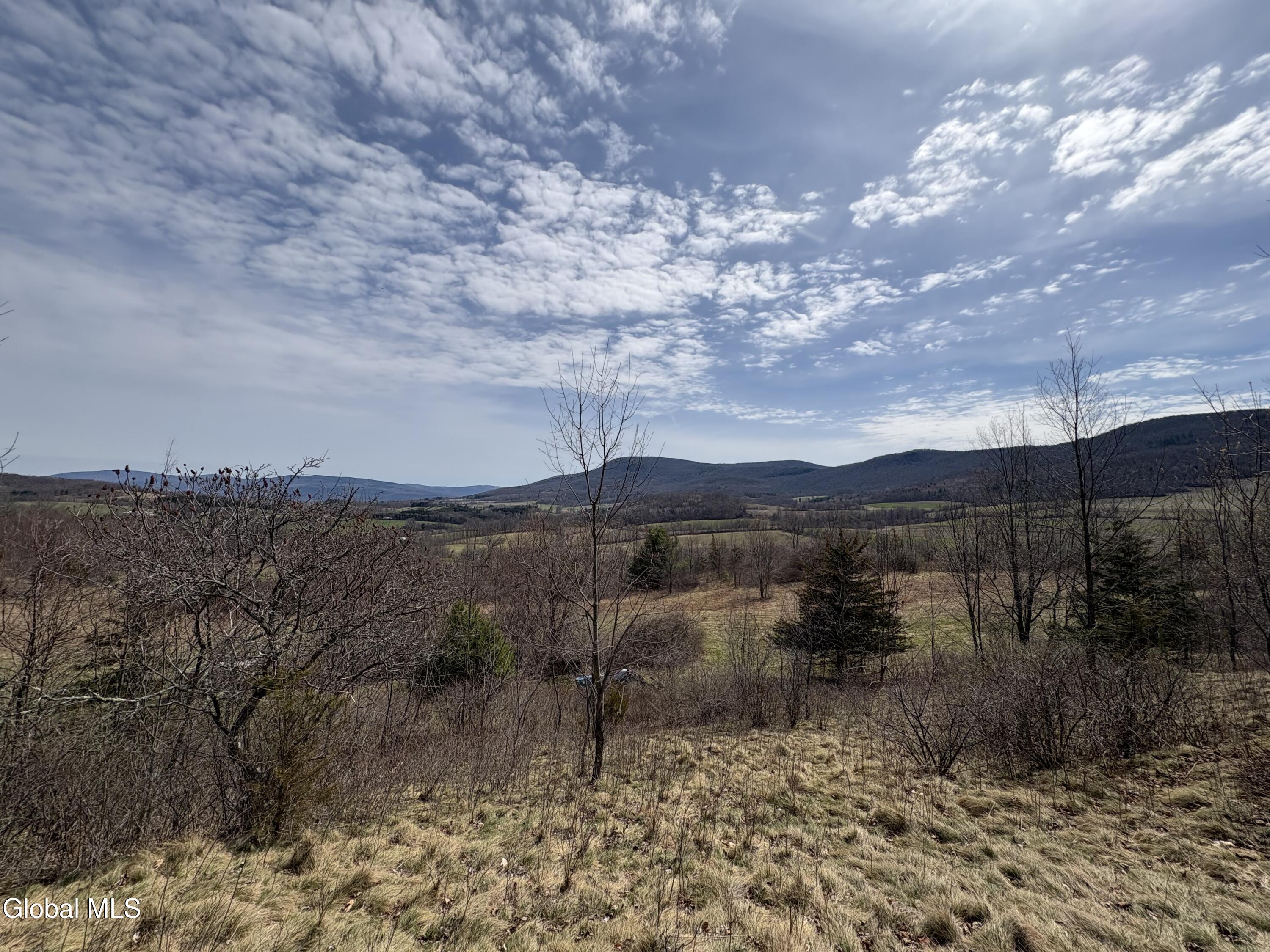 605 Breese Hollow Road Hoosick Falls, NY 12090 - Photo 6 of 27 IMG_3915