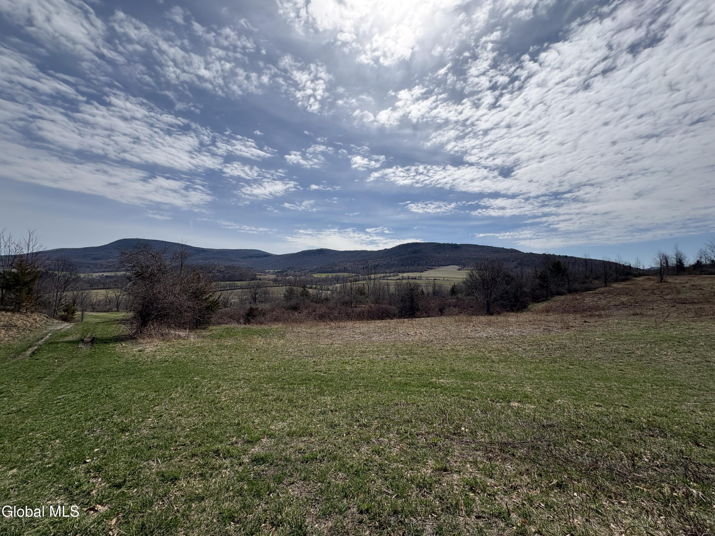 605 Breese Hollow Road Hoosick Falls, NY 12090 - Photo 7 of 27 IMG_3920