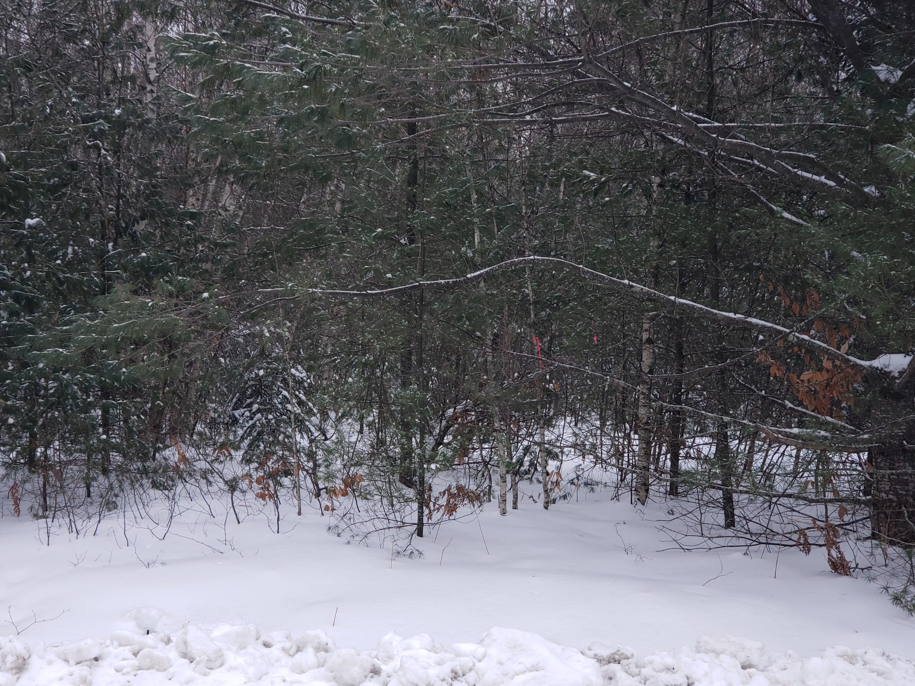 0 Cascade Leisure Park Road Farmington, ME 04938 - Photo 3 of 7 20220119_114744