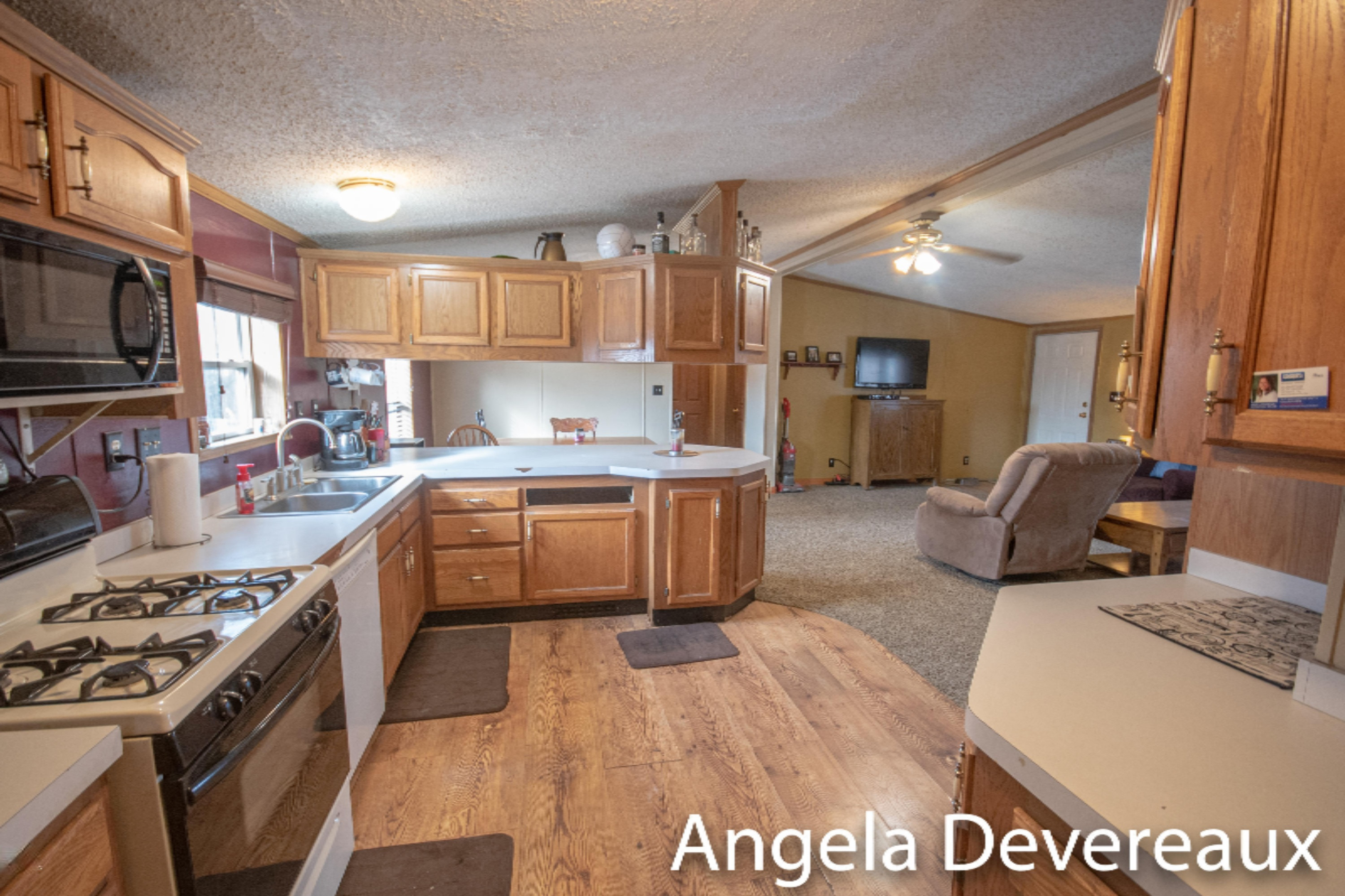 1553 Coral Road Northwest Stanton, MI 48888 - Photo 15 of 42 KHP_6078