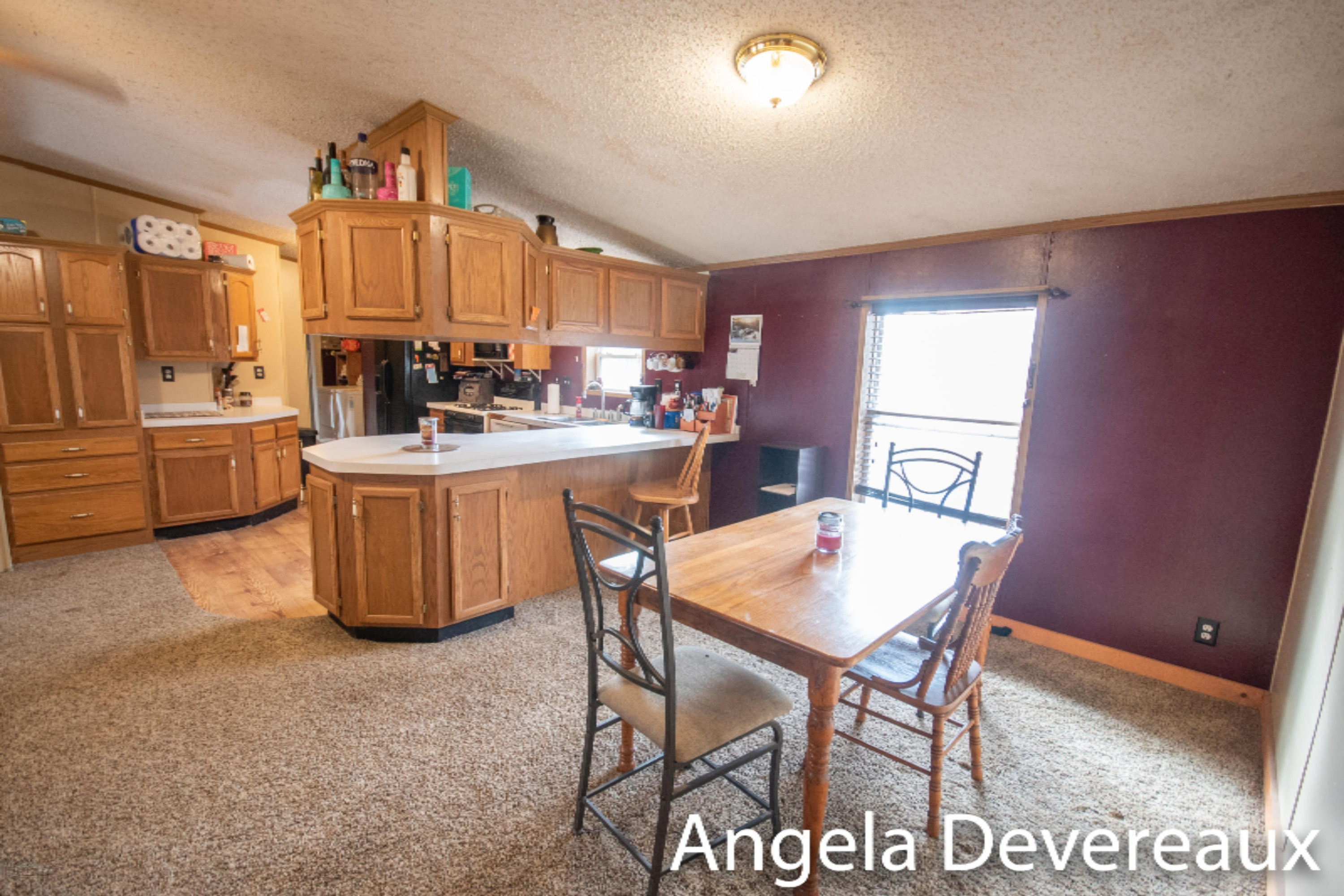 1553 Coral Road Northwest Stanton, MI 48888 - Photo 16 of 42 KHP_6083