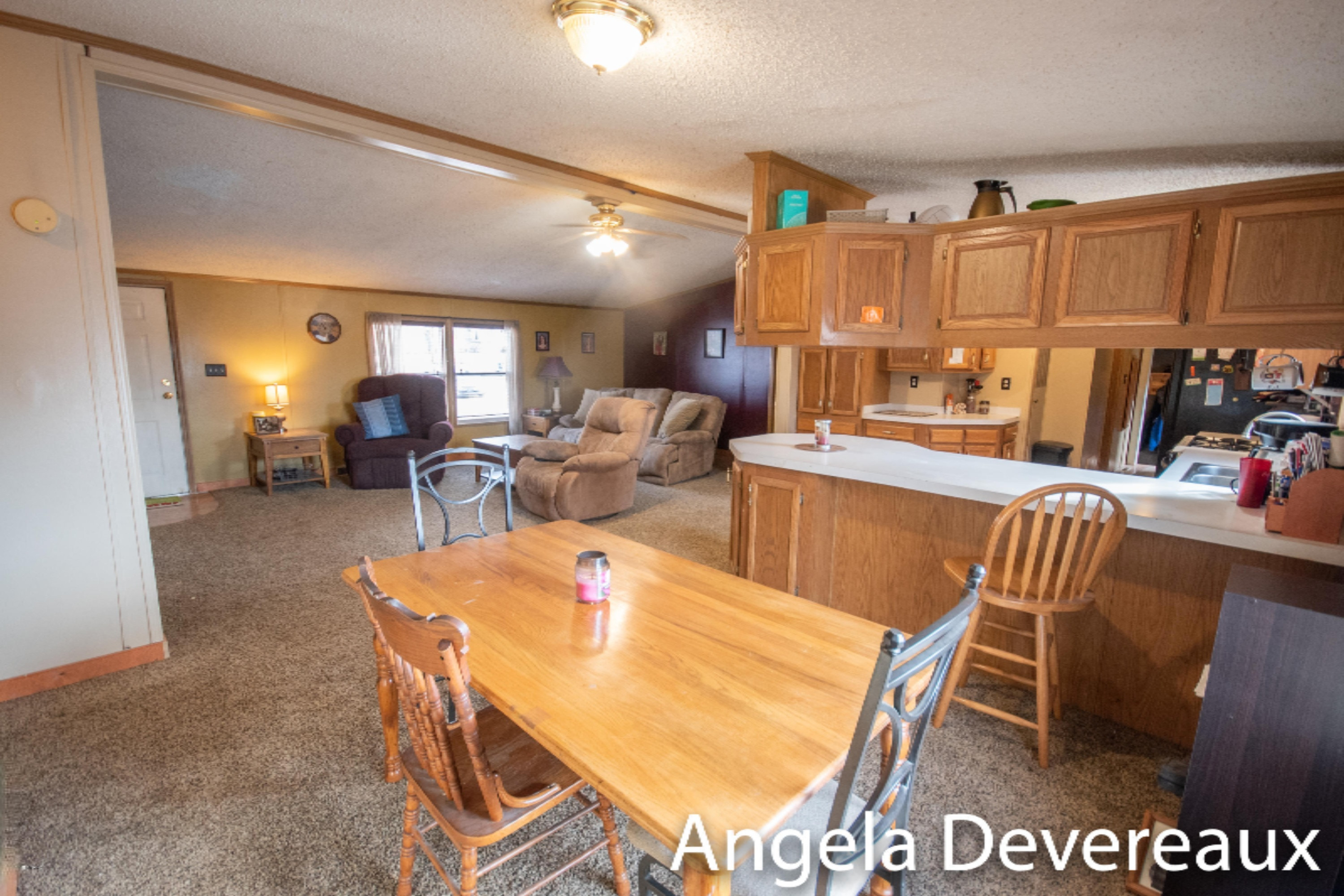 1553 Coral Road Northwest Stanton, MI 48888 - Photo 21 of 42 KHP_6084