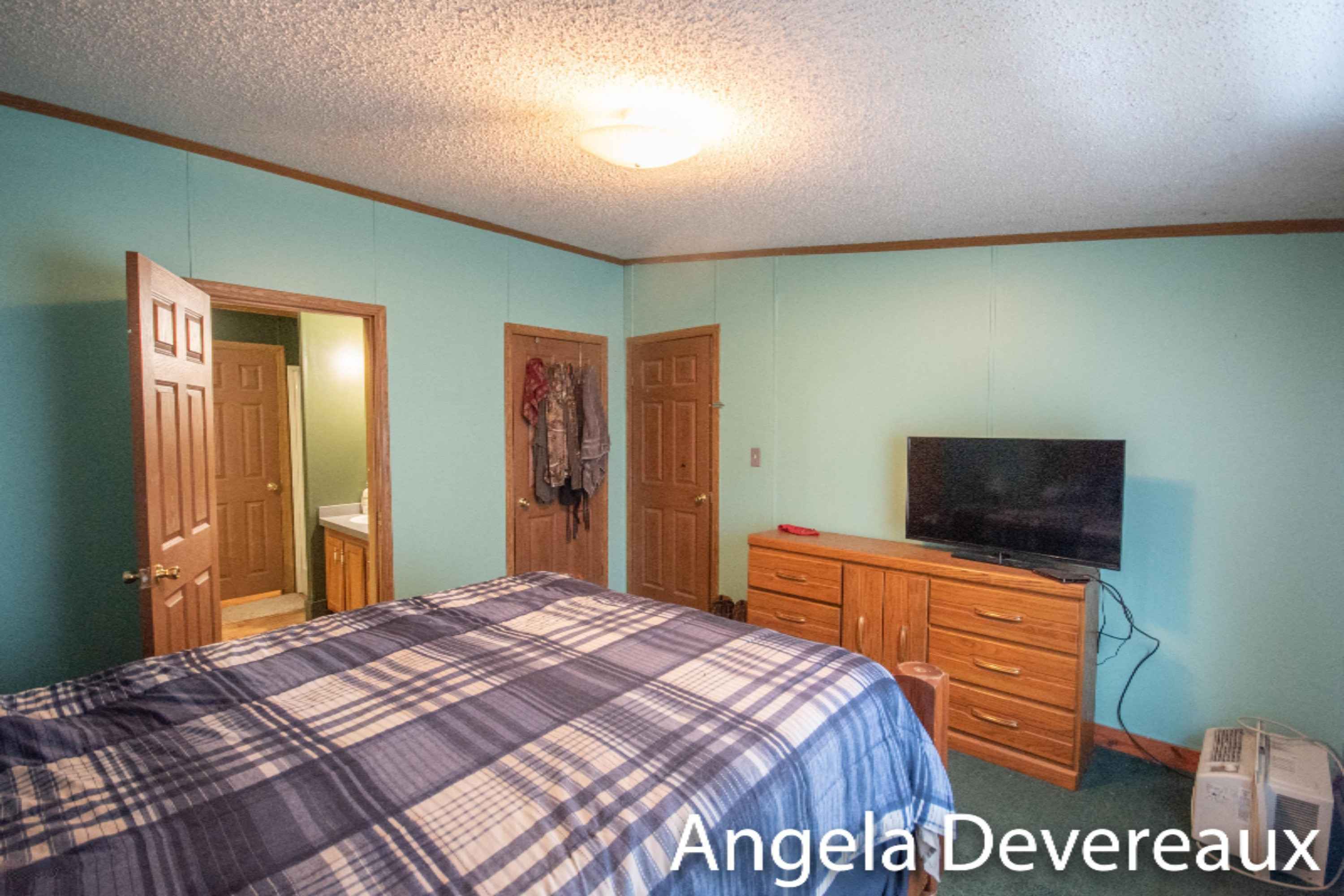 1553 Coral Road Northwest Stanton, MI 48888 - Photo 22 of 42 KHP_6089