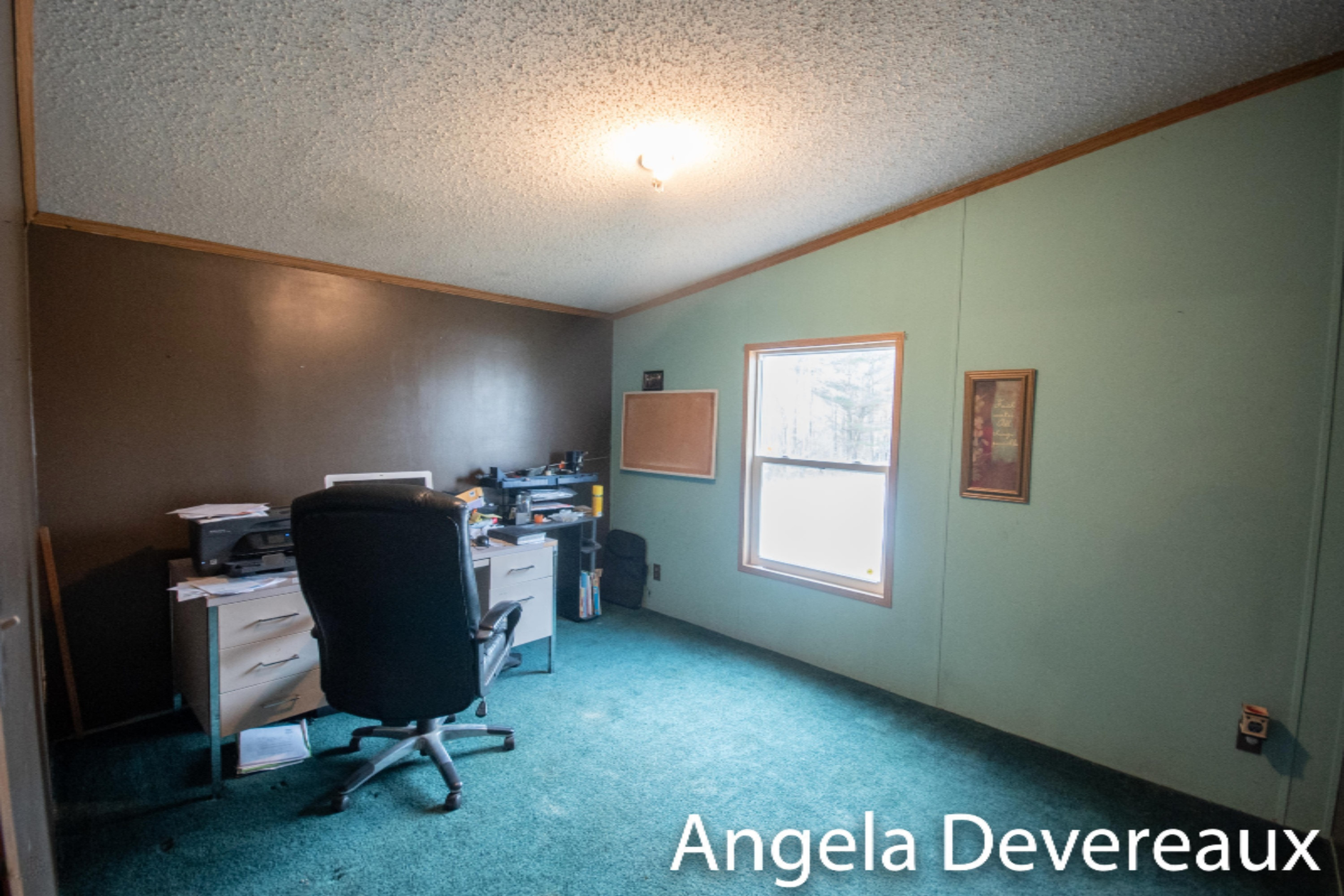 1553 Coral Road Northwest Stanton, MI 48888 - Photo 27 of 42 KHP_6093