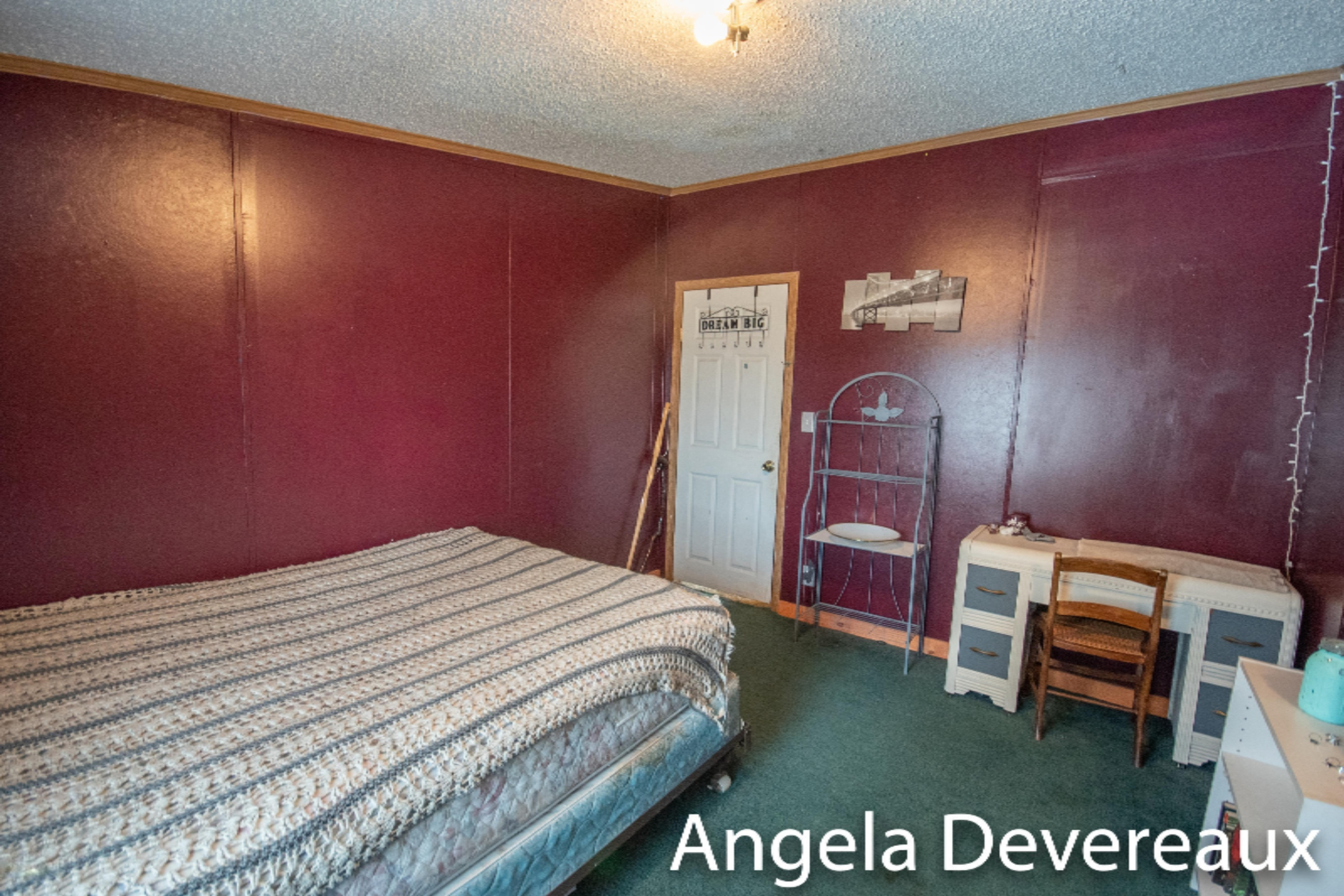 1553 Coral Road Northwest Stanton, MI 48888 - Photo 31 of 42 KHP_6098