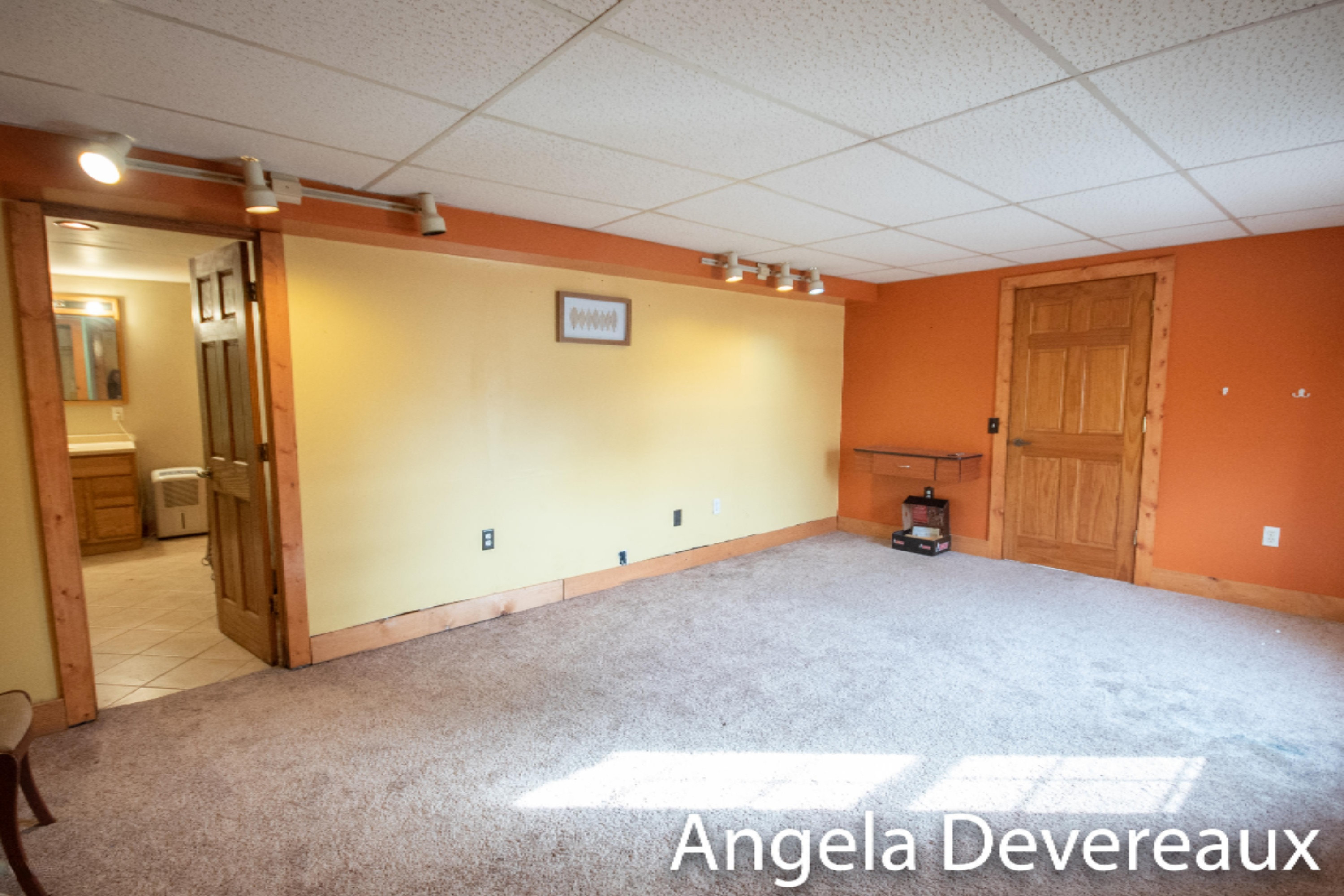 1553 Coral Road Northwest Stanton, MI 48888 - Photo 35 of 42 KHP_6103