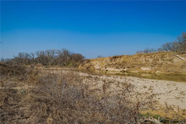 a view of a yard with an trees