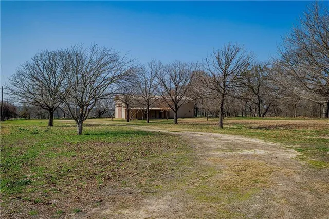 a view of dirt field with trees
