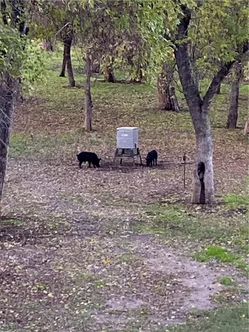 a view of swimming pool from a balcony