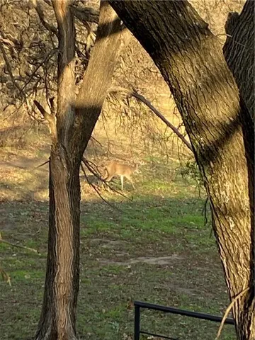 $450,000 | 217 Cr 3310 Valley Mills, Valley Mills, TX 76689