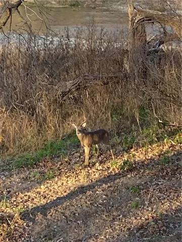 $450,000 | 217 Cr 3310 Valley Mills, Valley Mills, TX 76689