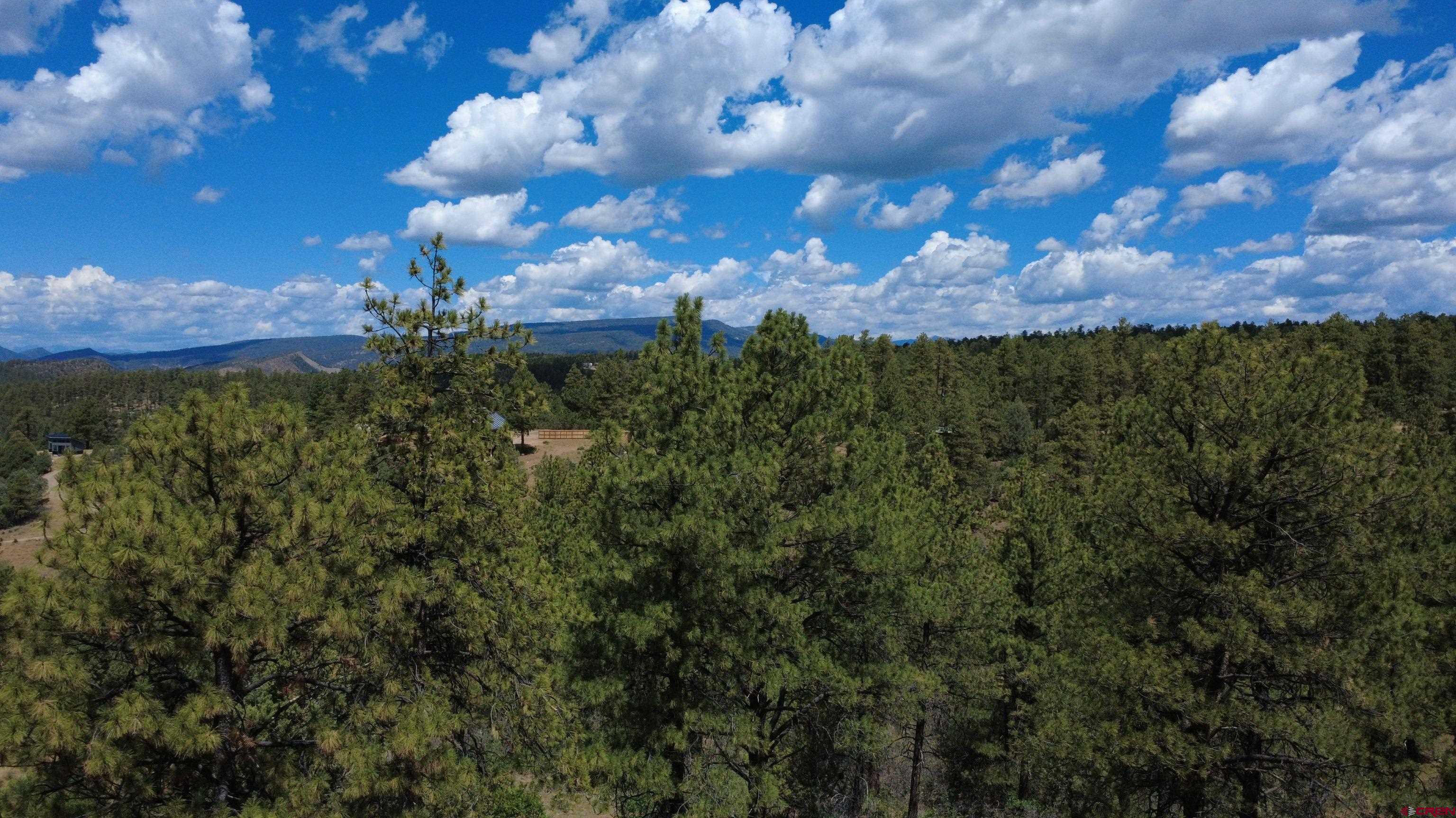 121 Engineer Point Pagosa Springs, CO 81147 - Photo 42 of 43