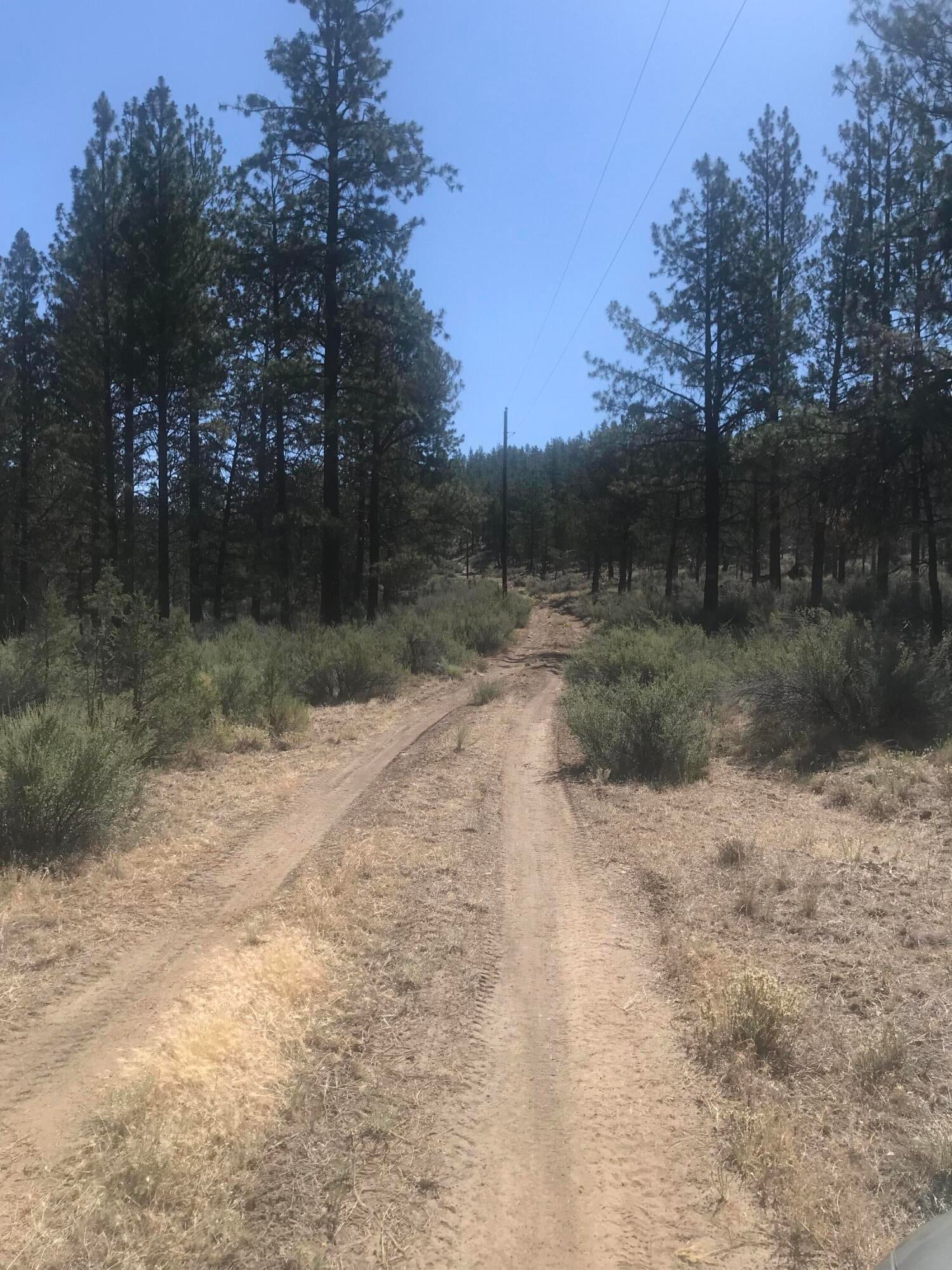 17665 Tinker Bell Road Sisters, OR 97759 - Photo 19 of 20 19