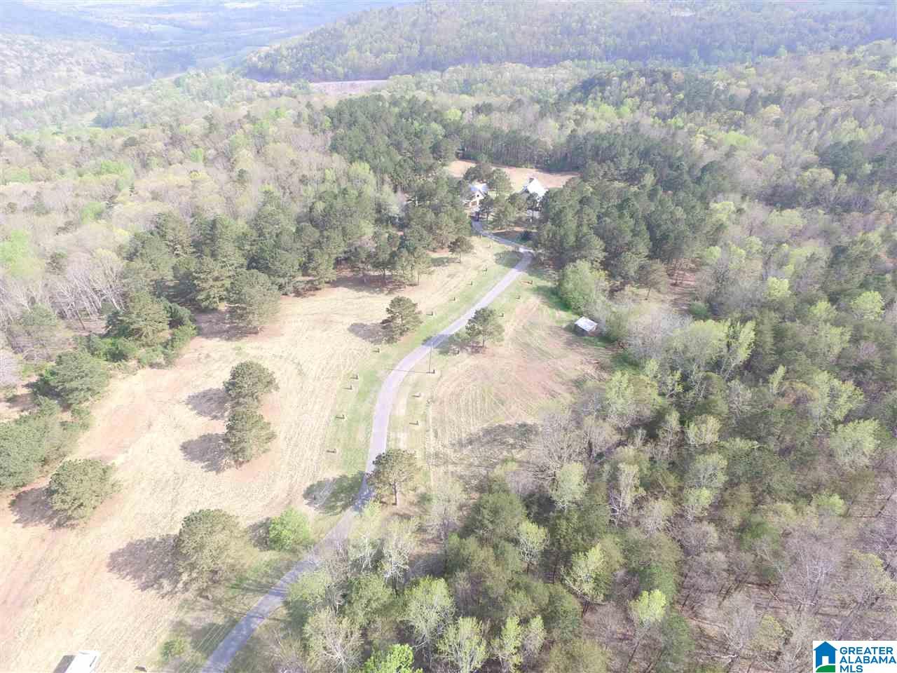 445 Annie Drive Oneonta, AL 35121 - Photo 2 of 40
