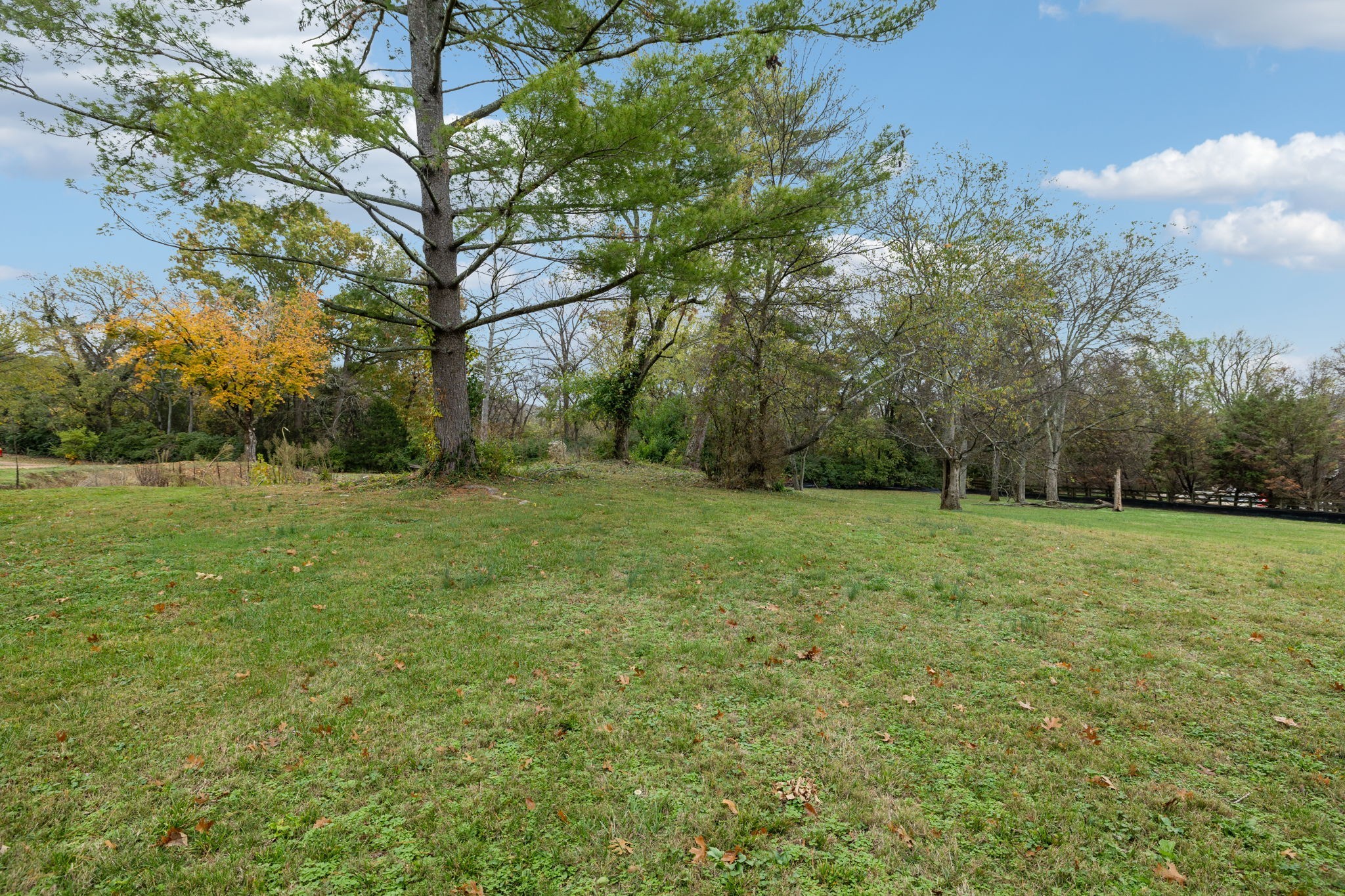1917 Old Hickory Boulevard Brentwood, TN 37027 - Photo 12 of 49 a view of a field with trees