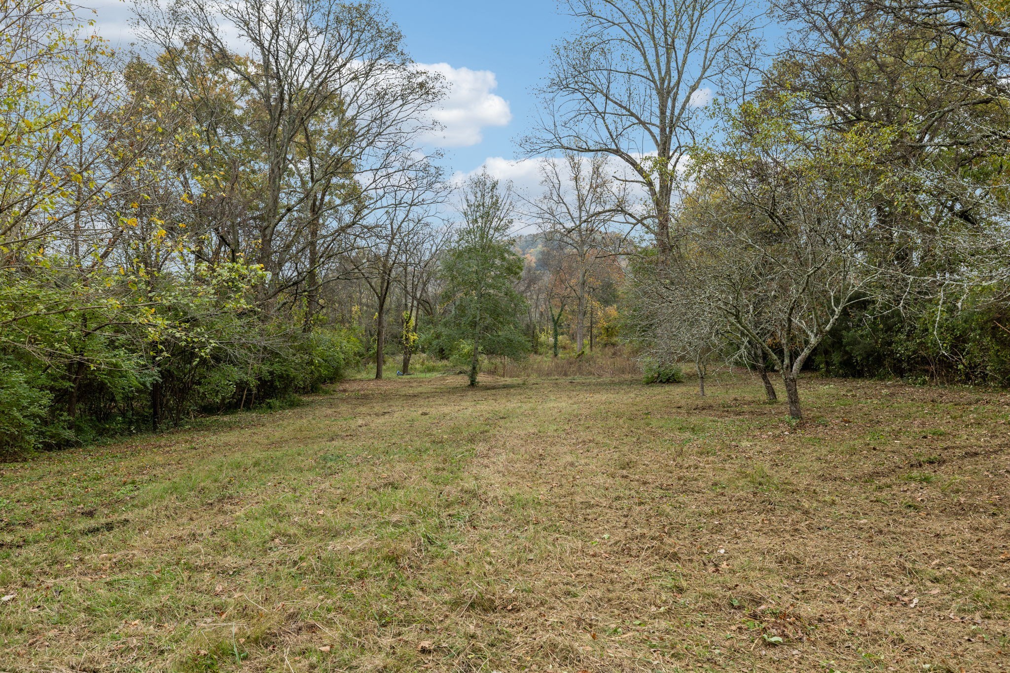 1917 Old Hickory Boulevard Brentwood, TN 37027 - Photo 13 of 49 a view of a yard with trees