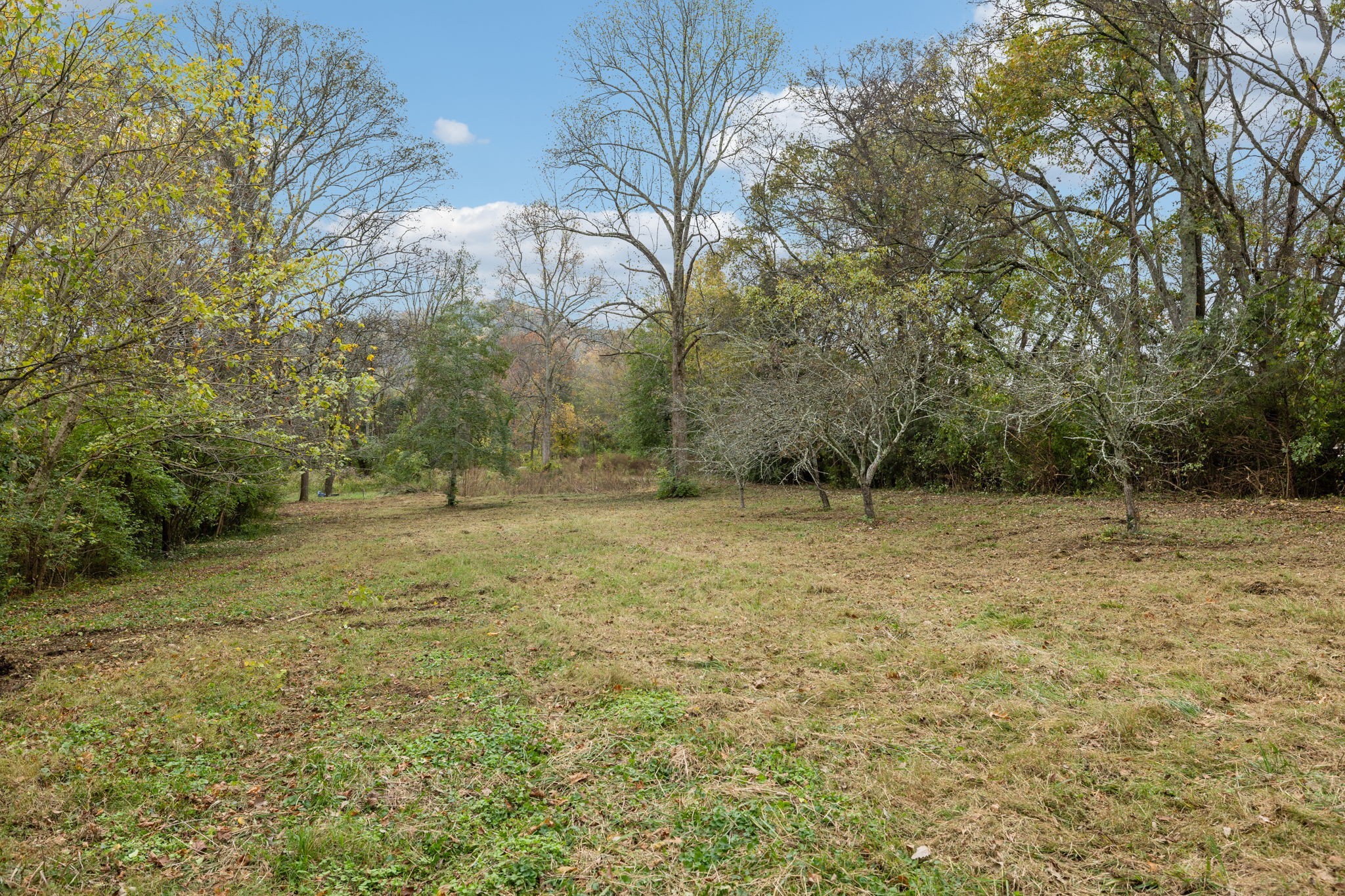 1917 Old Hickory Boulevard Brentwood, TN 37027 - Photo 14 of 49 a view of a outdoor space