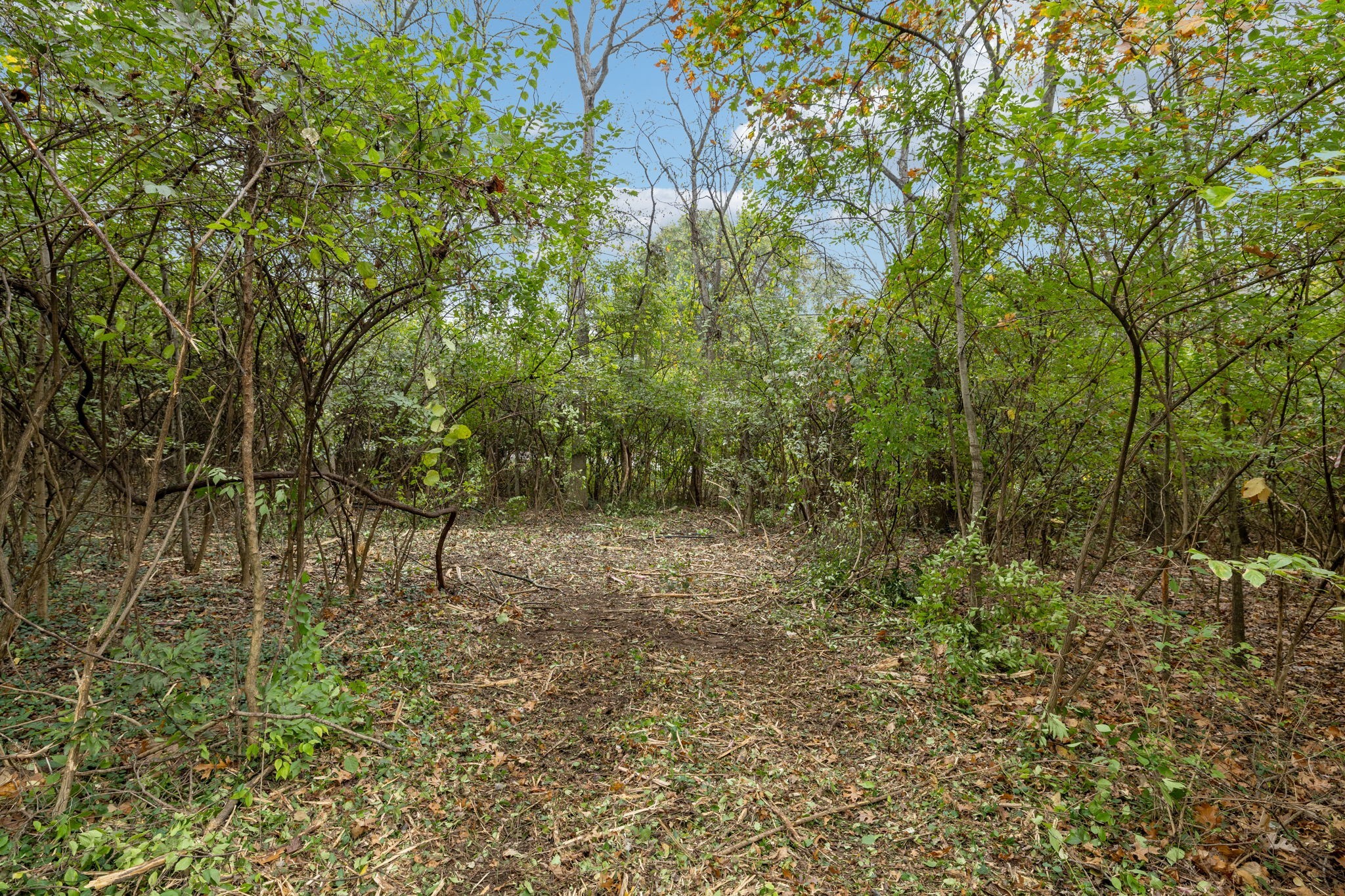 1917 Old Hickory Boulevard Brentwood, TN 37027 - Photo 17 of 49 a view of outdoor space and trees
