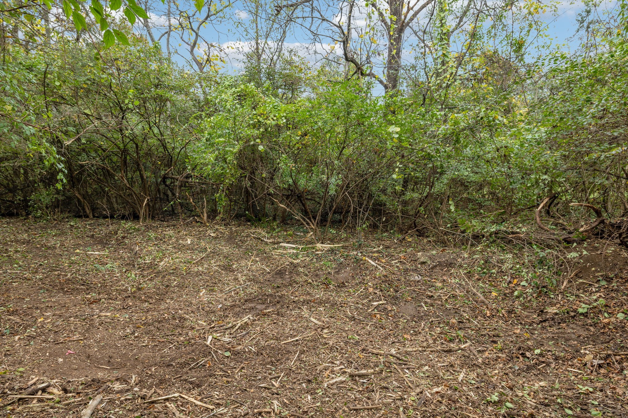 1917 Old Hickory Boulevard Brentwood, TN 37027 - Photo 20 of 49 a view of outdoor space and trees