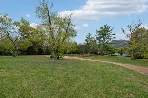 a view of field with trees