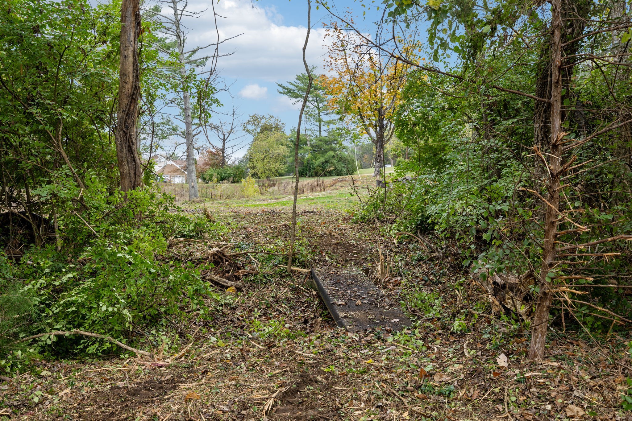 1917 Old Hickory Boulevard Brentwood, TN 37027 - Photo 21 of 49 a view of a yard