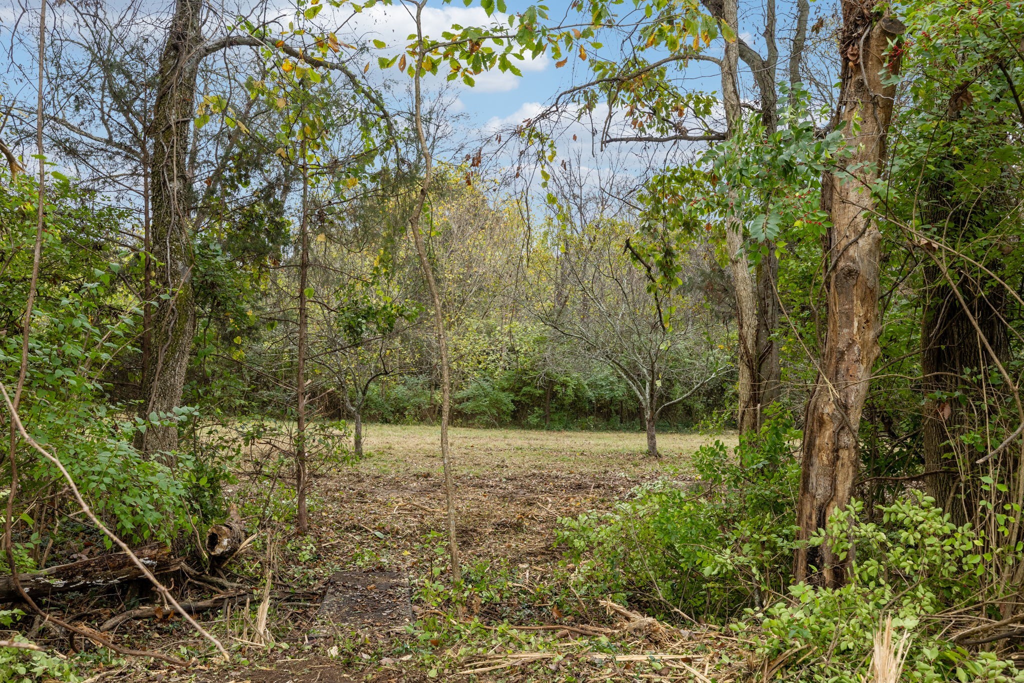 1917 Old Hickory Boulevard Brentwood, TN 37027 - Photo 22 of 49 a view of outdoor space with trees