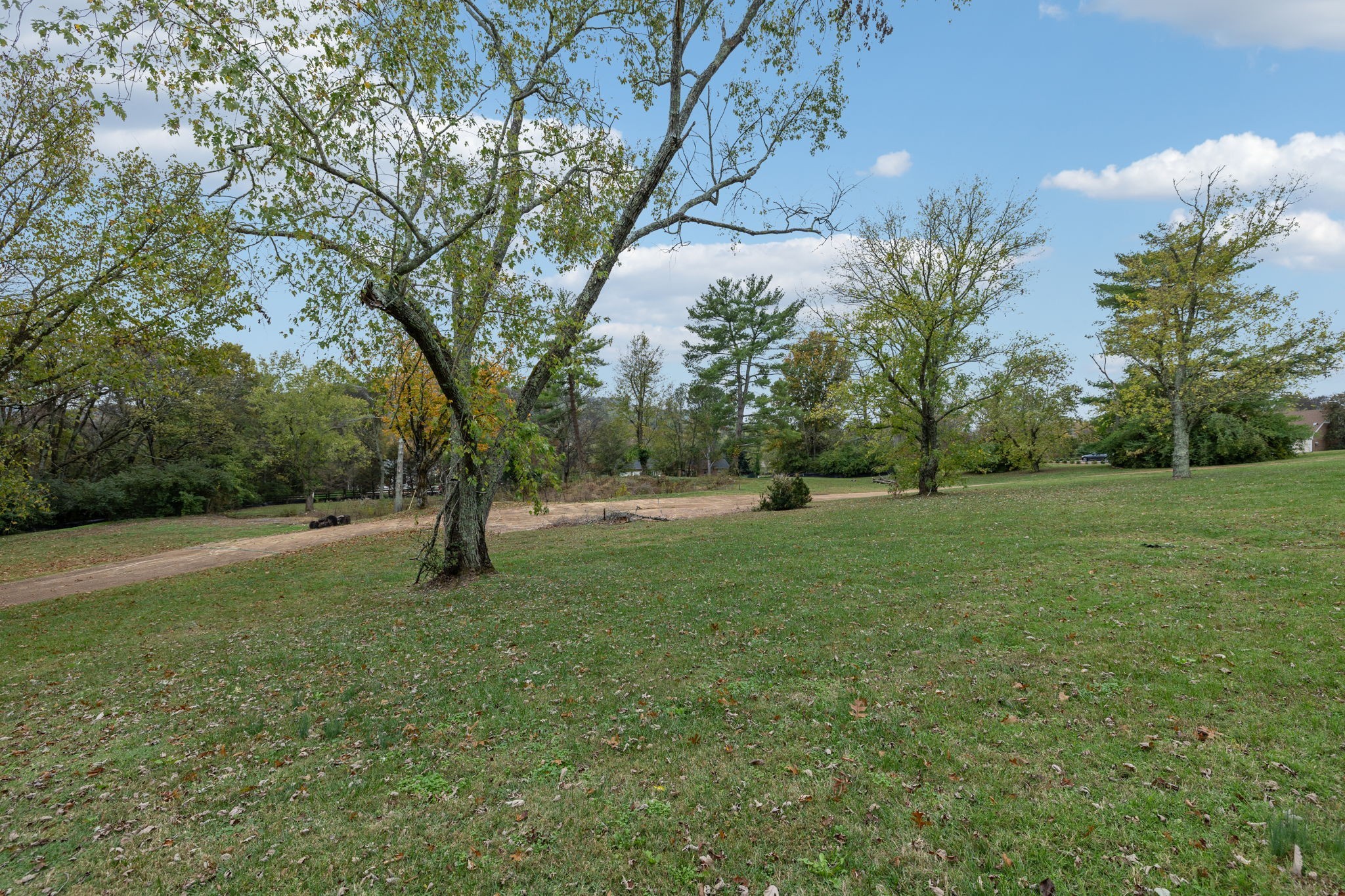 1917 Old Hickory Boulevard Brentwood, TN 37027 - Photo 4 of 49 a view of field with trees