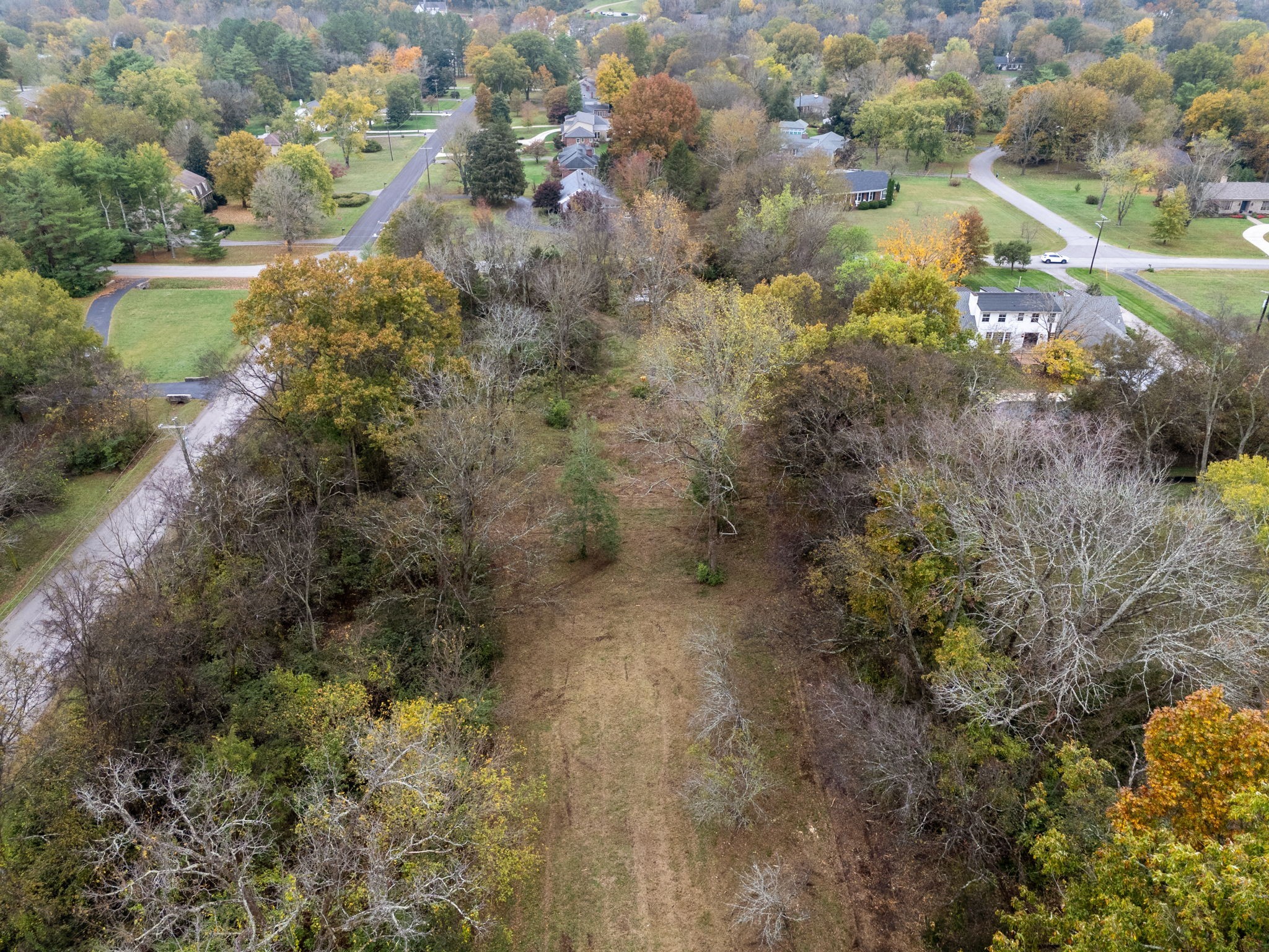 1917 Old Hickory Boulevard Brentwood, TN 37027 - Photo 43 of 49 a view of a yard with plants and large trees