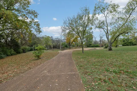 a view of a yard with large trees