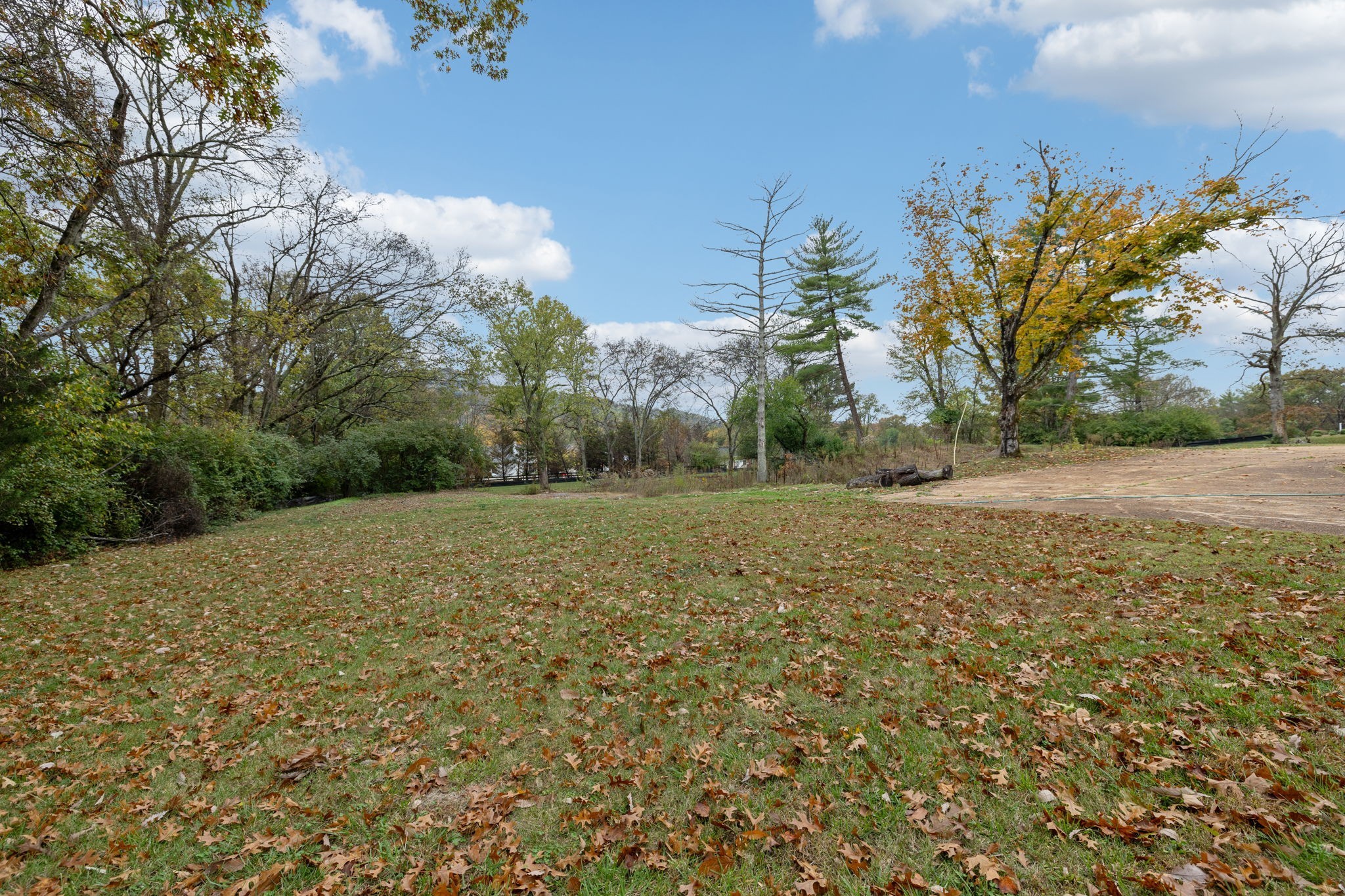 1917 Old Hickory Boulevard Brentwood, TN 37027 - Photo 6 of 49 a view of a yard with large trees