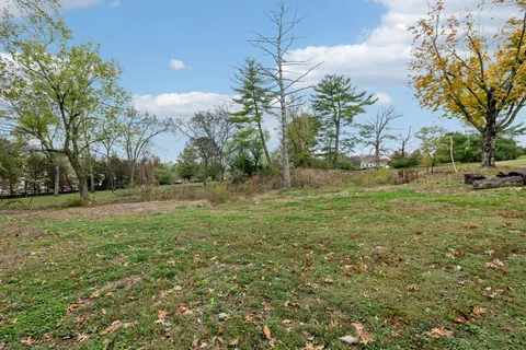 a view of a field with trees