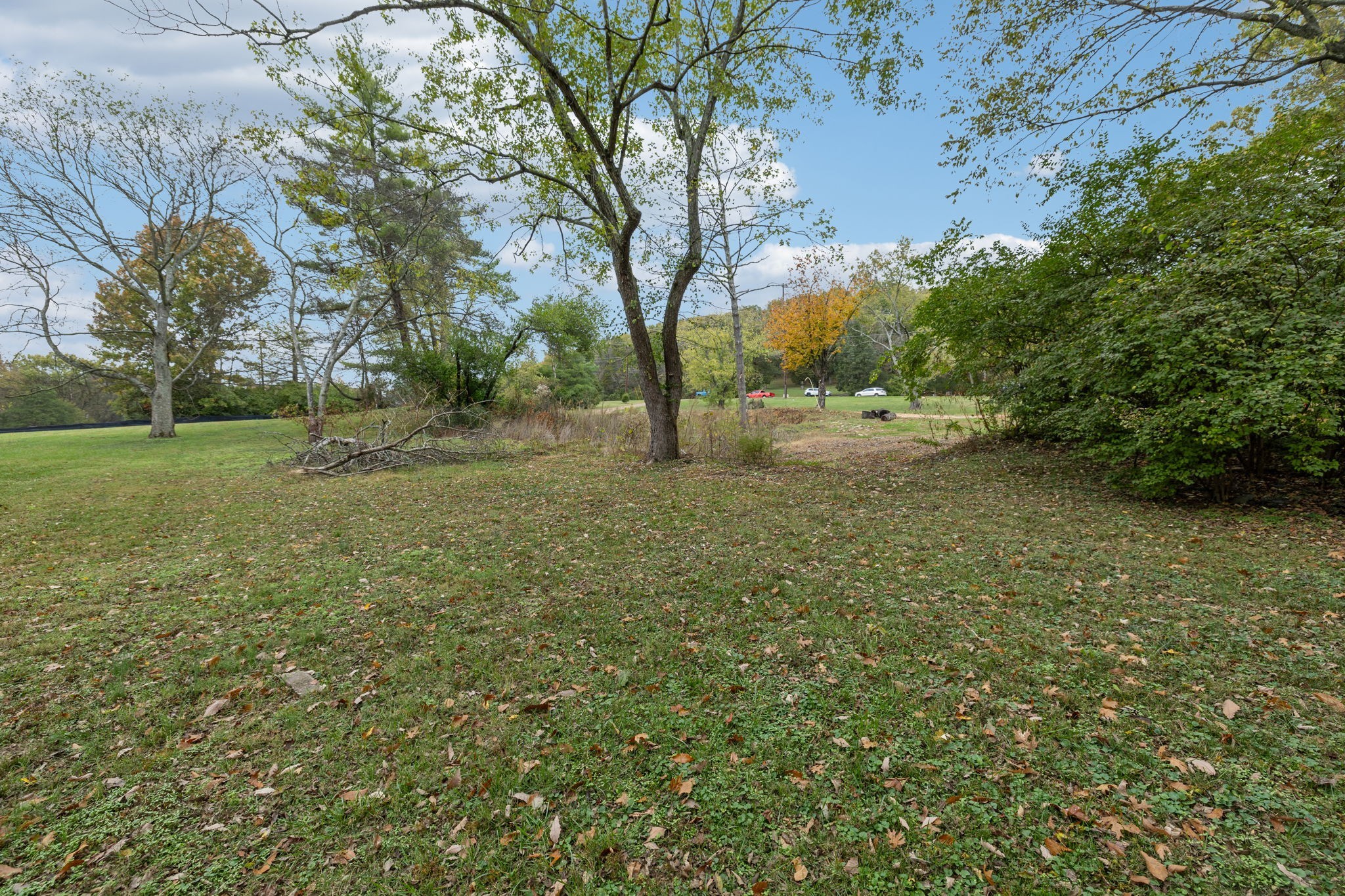1917 Old Hickory Boulevard Brentwood, TN 37027 - Photo 8 of 49 a view of a field with trees in the background