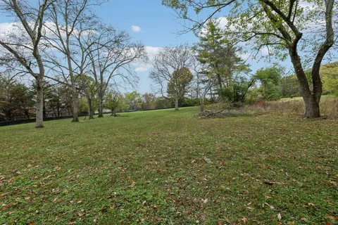 a view of a field with trees in the background