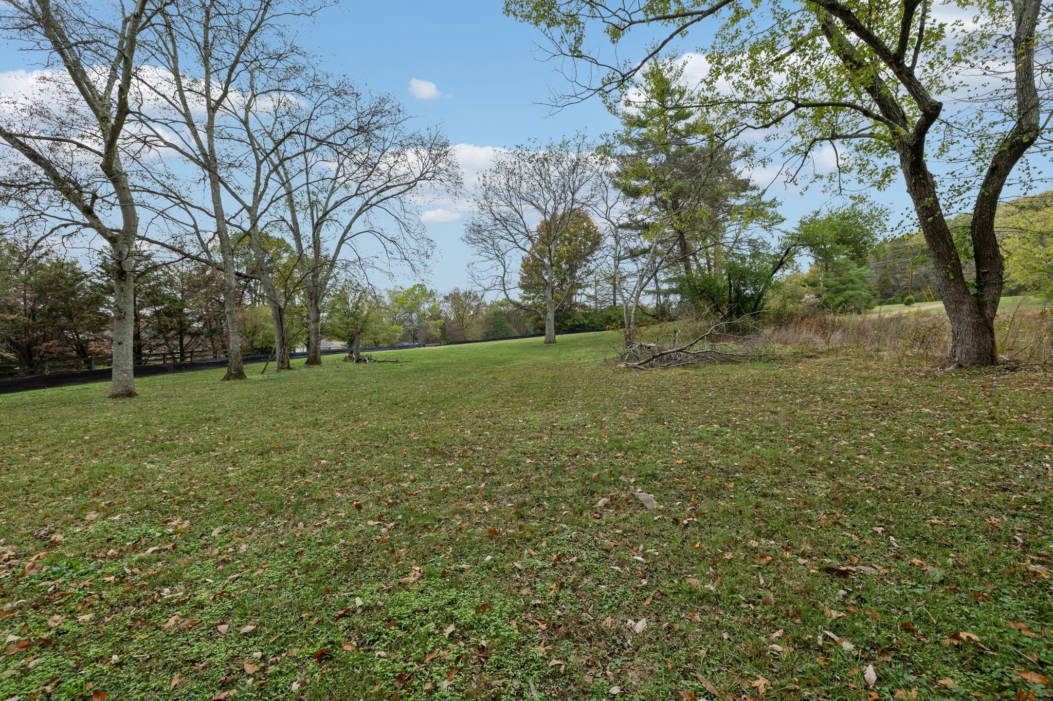 1917 Old Hickory Boulevard Brentwood, TN 37027 - Photo 9 of 49 a view of a field with trees