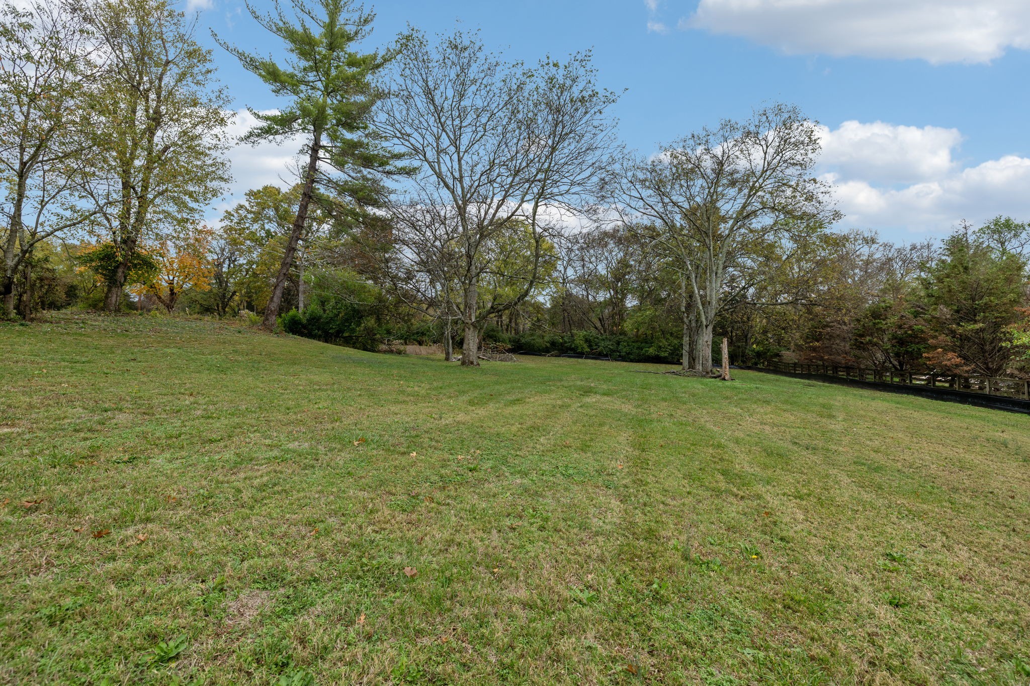 1917 Old Hickory Boulevard Brentwood, TN 37027 - Photo 10 of 49 a view of a big yard with plants and trees
