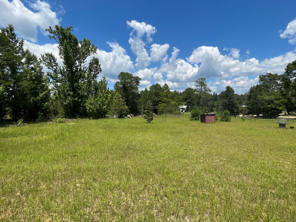 420 Dr Brooks Road Box Springs, GA 31801 - Photo 23 of 29 Gallery Image 23