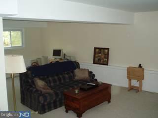 40 Wheatsheaf Road Shamong, NJ 08088 - Photo 4 of 6 Gallery Image 4