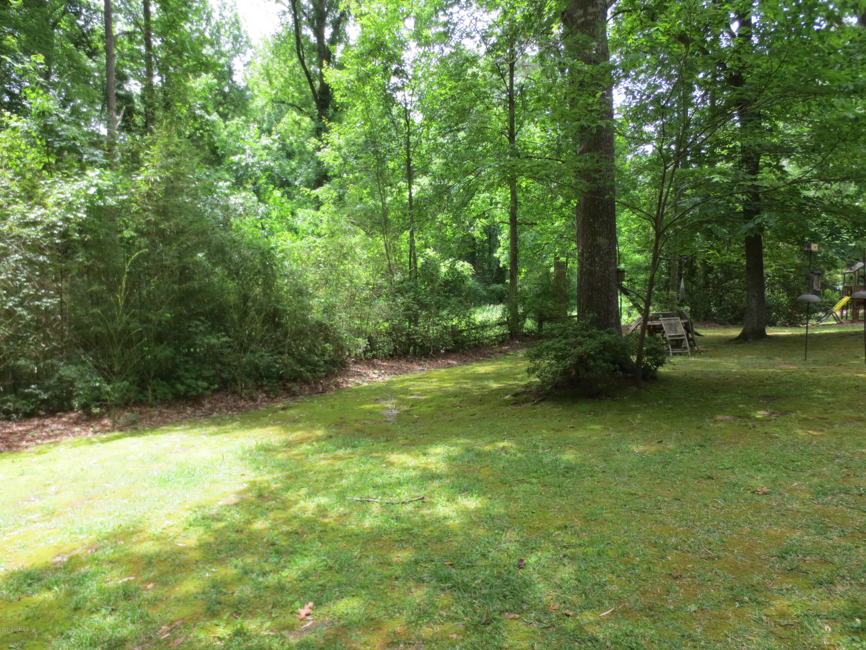 209 Alderson Road Washington, NC 27889 - Photo 13 of 17 back yard view 2