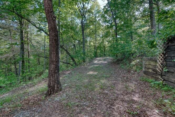 441 Foxfire Road Blairsville, GA 30512 - Photo 37 of 73 a view of a forest with trees in the background